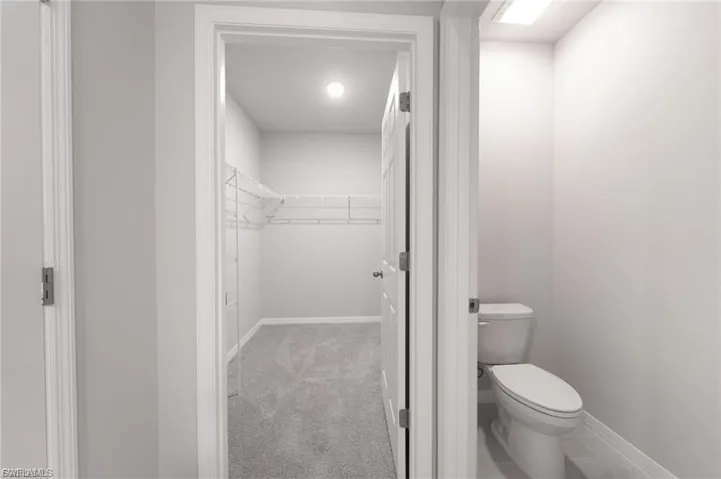 Bathroom featuring a spacious closet and light colored carpet
