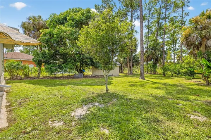 Large fenced in yard with ample fruit trees throughout