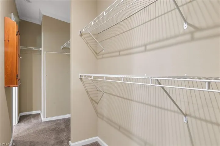 Walk in closet with carpet floors