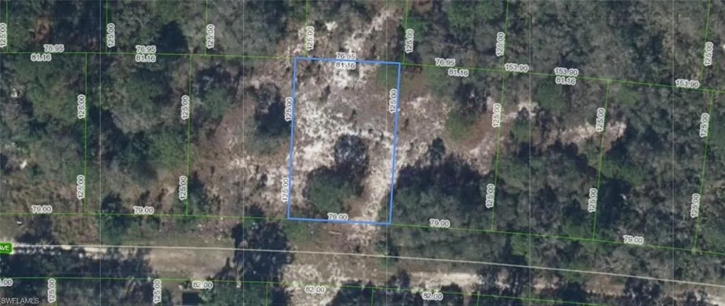 Plat map. Illustrating the boundaries and dimensions of the property and surrounding parcels