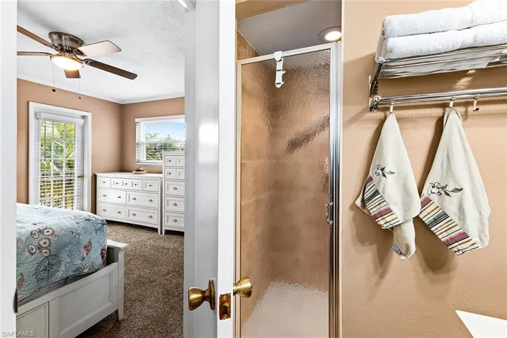 Master Shower and Balcony