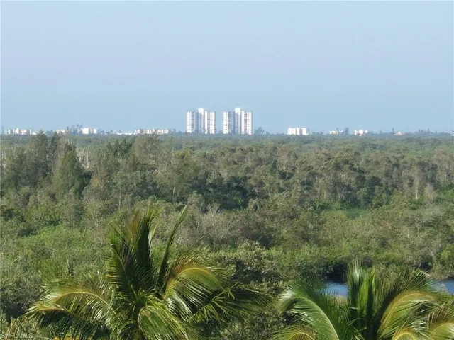 View from Lanai ,,,, Nature Preserve, and Fort Myers Beach Skyline
