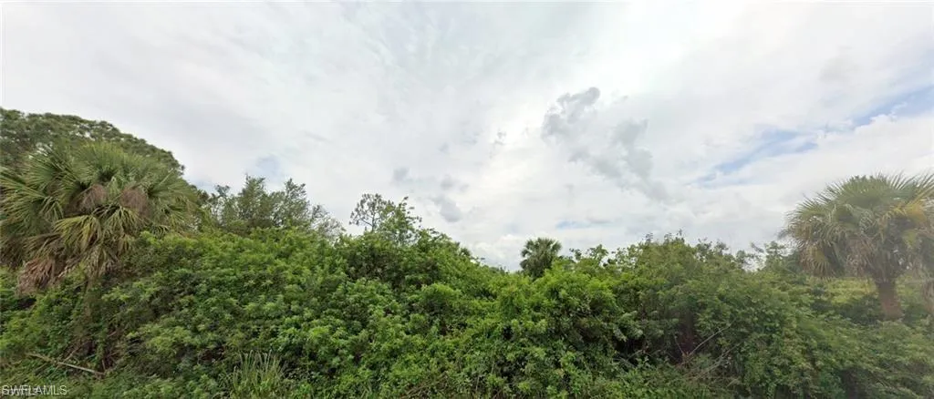 View of wooded area