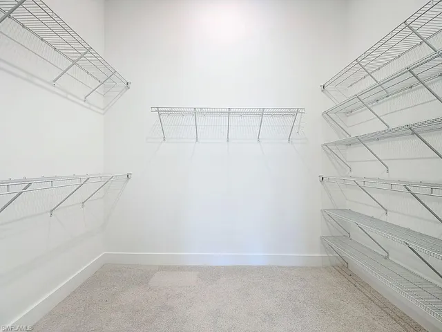 Spacious closet featuring light carpet