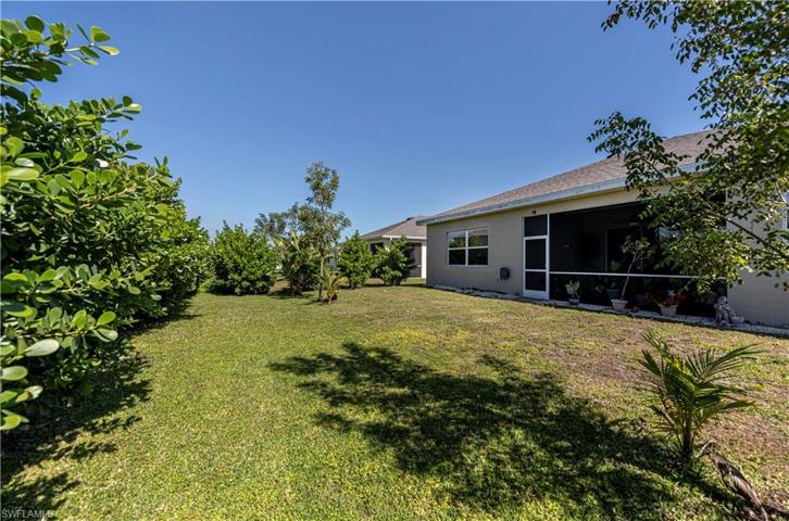 Large and Private Backyard