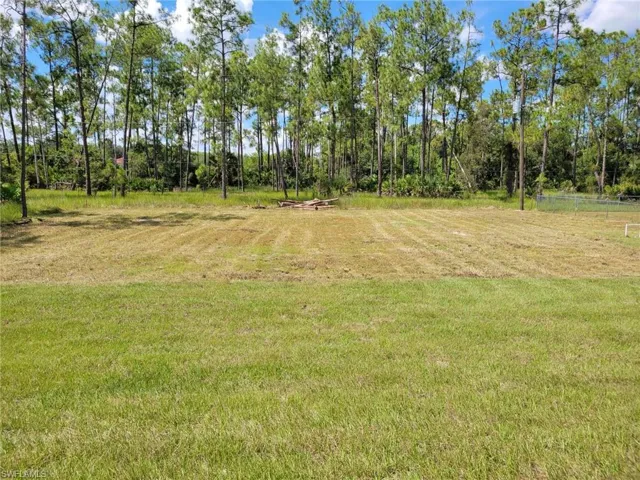 The backyard view you can see where the property on the right ended their fence. This is the property corner. Survey markers are in place.