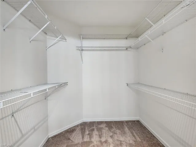 Walk in closet with light colored carpet