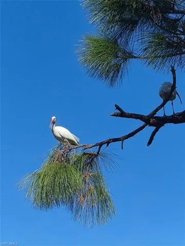 Lot's of birds and wild life in a serene setting!