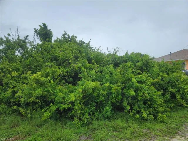 View of nature