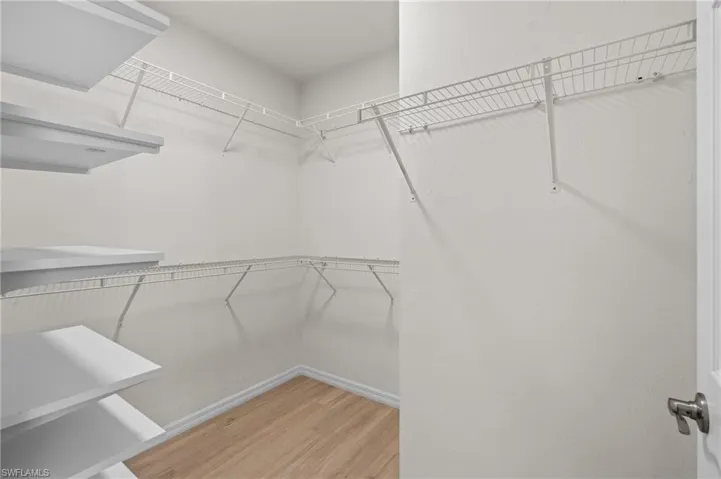 Spacious closet with wood-type flooring