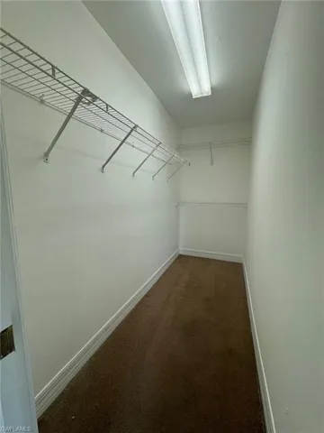 Walk in closet featuring carpet floors