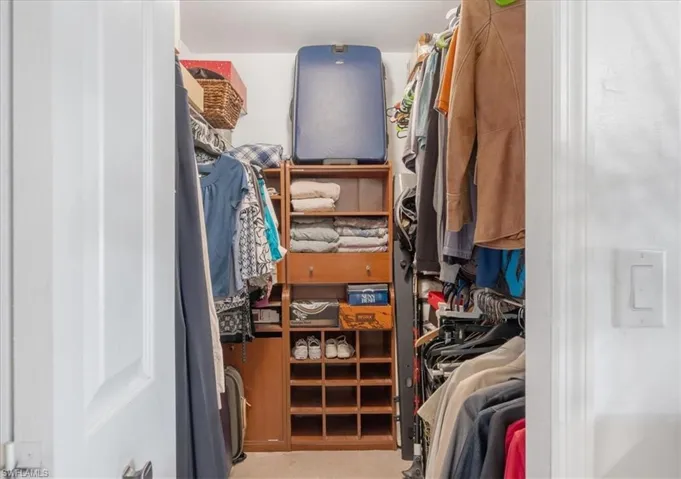 Spacious closet with carpet