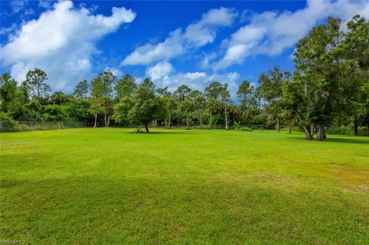 Grass pasture-turnout