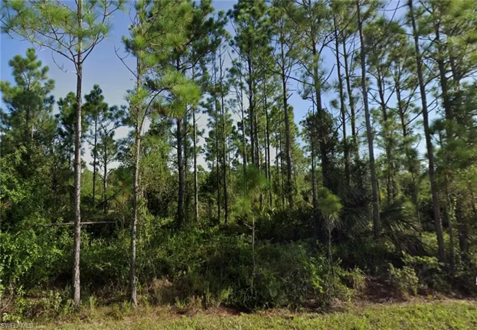 View of nature with a view of trees
