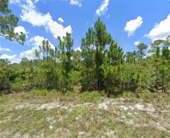 View of wooded area