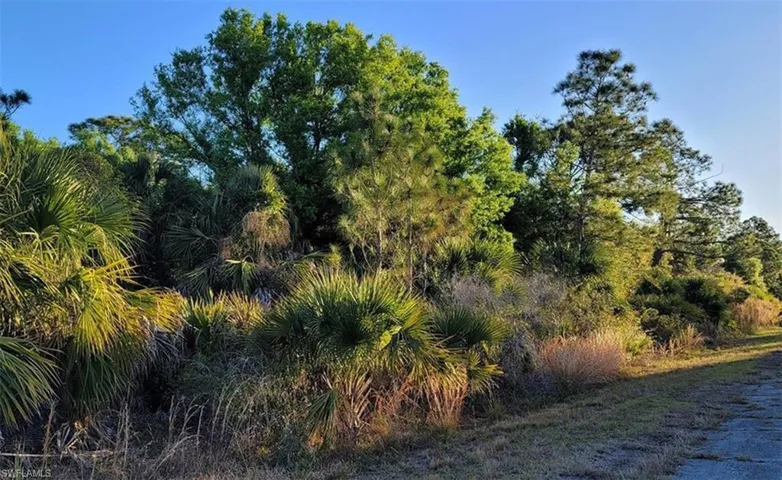 View of nature