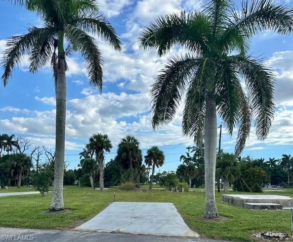 Level lot with 2 nice palm trees