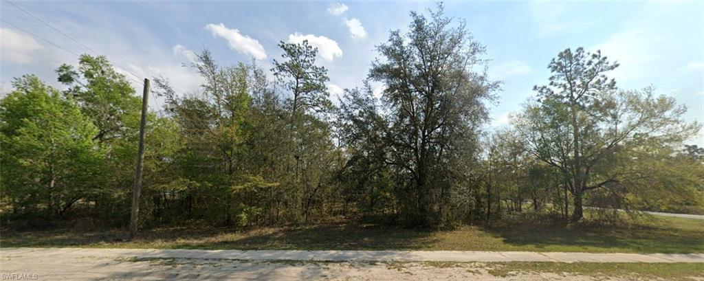 100  WESTWOOD  DR, INTERLACHEN, FL 32148