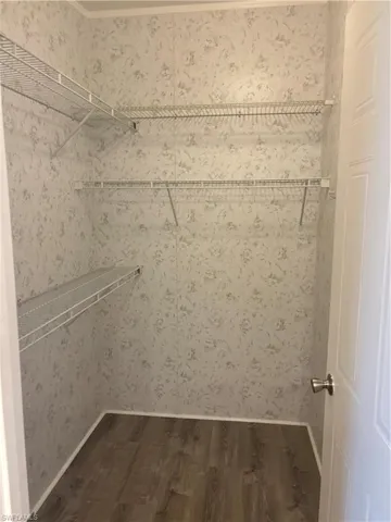 Spacious closet with hardwood / wood-style flooring