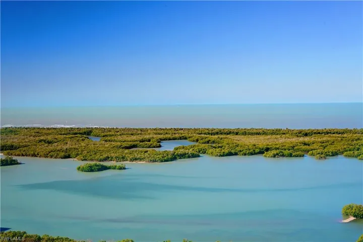 Water view featuring a heavily wooded area