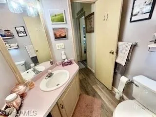 Bathroom with vanity and wood-style floors