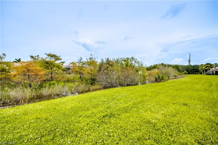 View of green lawn
