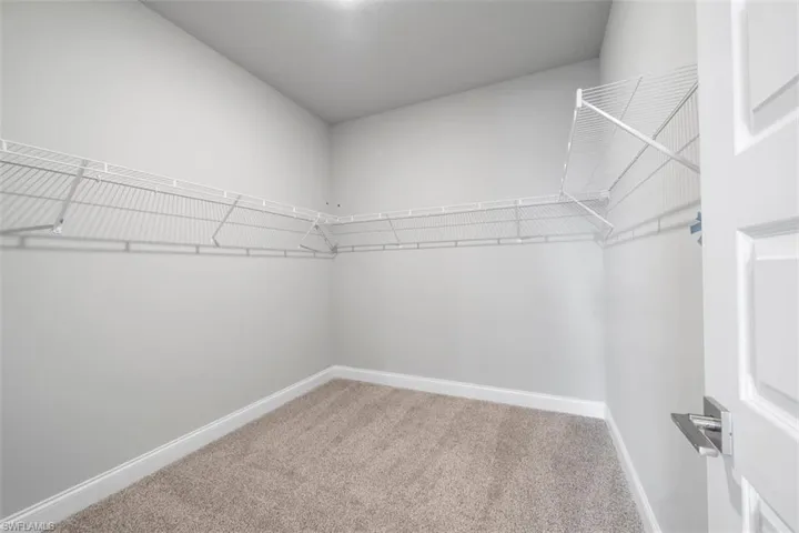 Walk in closet with carpet flooring