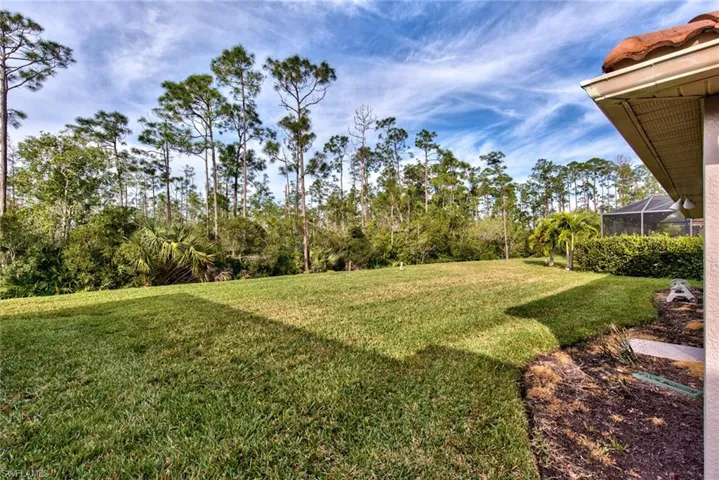 13584  Troia  DR, Estero, FL 33928