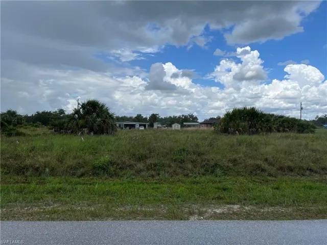 View of local wilderness