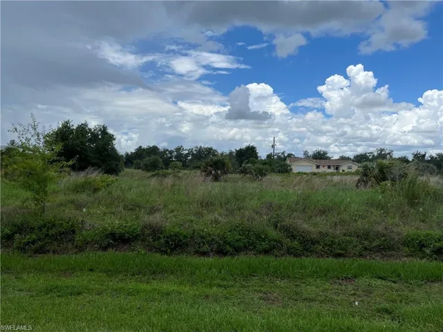 View of local wilderness
