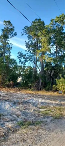 Cleared south lot for new home