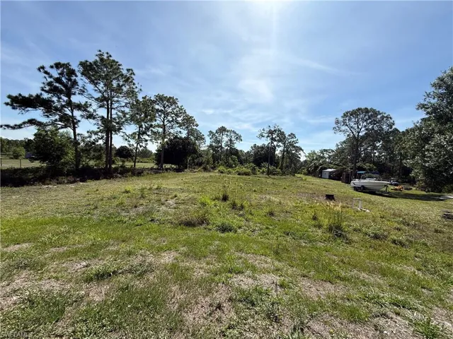 Expansive open lot featuring mature pine trees and natural landscaping