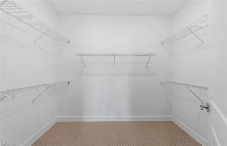 Walk in closet with carpet floors
