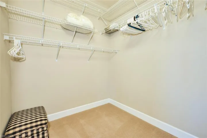 Spacious closet featuring light colored carpet
