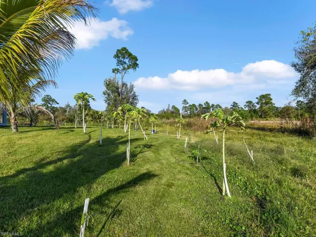 View of property's community with a yard and a rural view