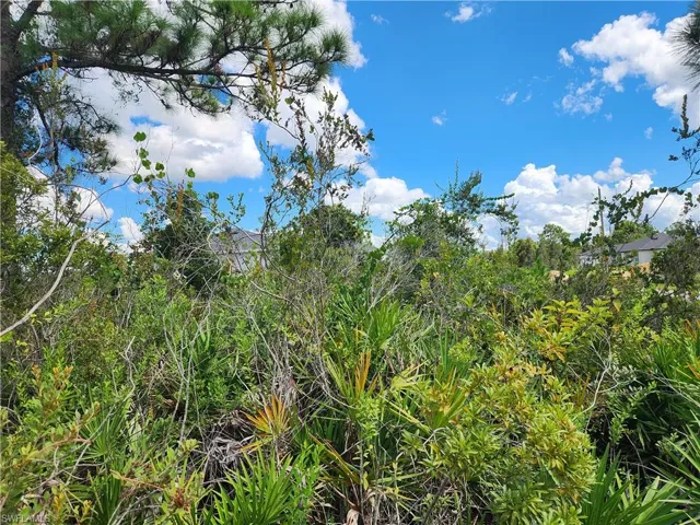 3012 42nd St W, Lehigh Acres, Florida 33971