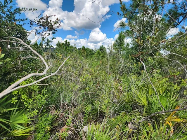 3012 42nd St W, Lehigh Acres, Florida 33971