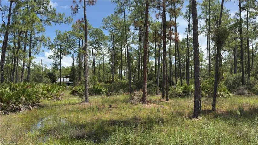 2210 Truman Ave, Alva, Florida 33920