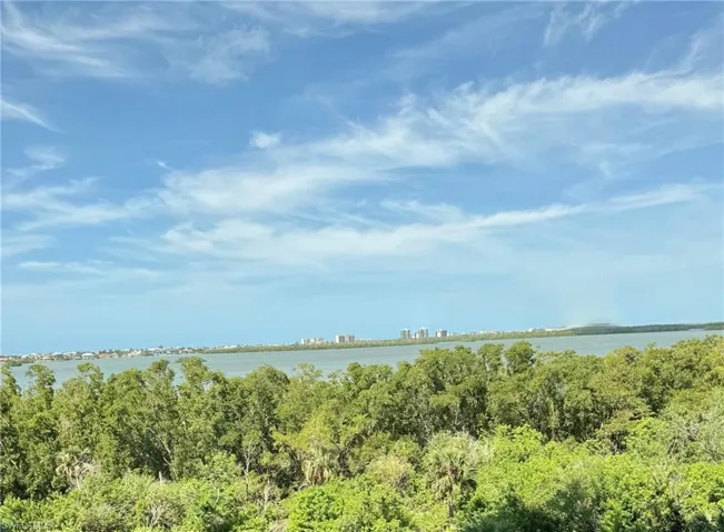 Estero Bay view