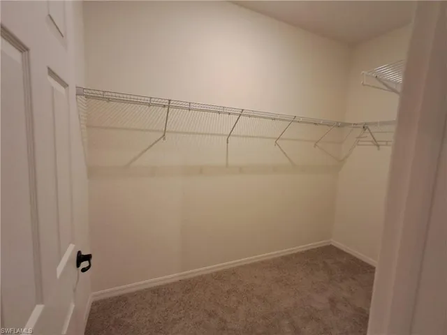 Walk in closet with light colored carpet