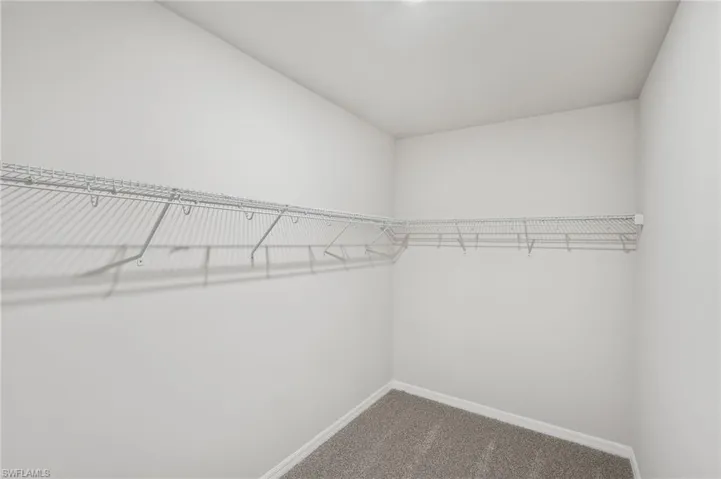 Spacious closet featuring carpet floors