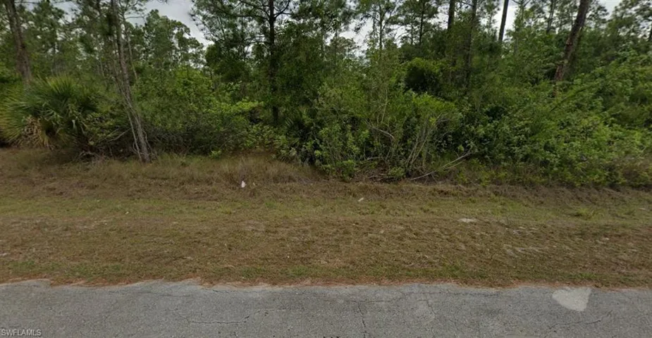 View of local wilderness