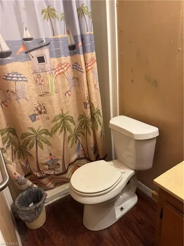 Bathroom with curtained shower, dark wood-type flooring, and vanity