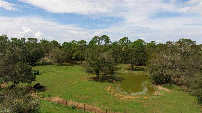 A small pond/watering hole