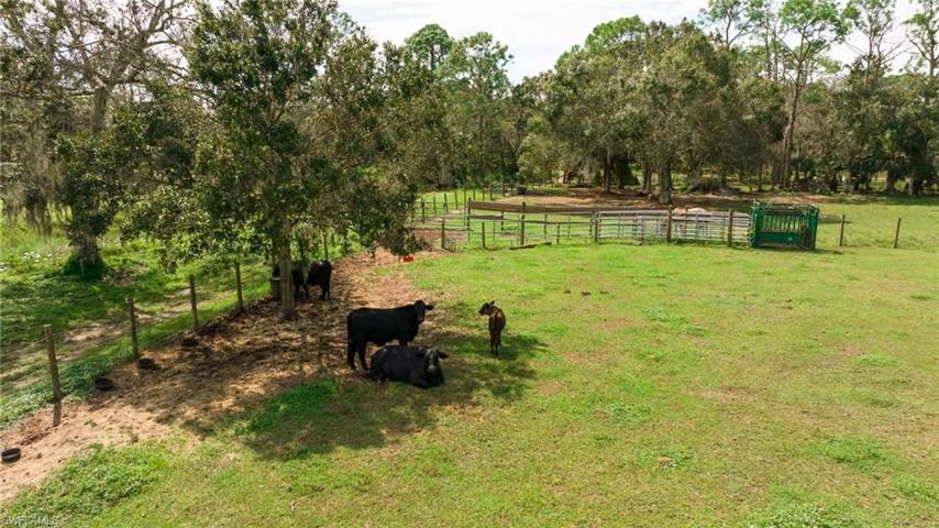 This land is perfect for farming, or anything your heart desires