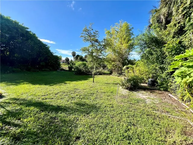 View of backyard