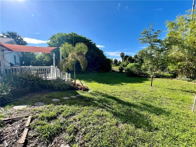 View of backyard