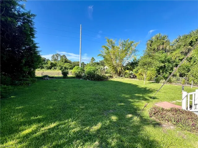 View of backyard