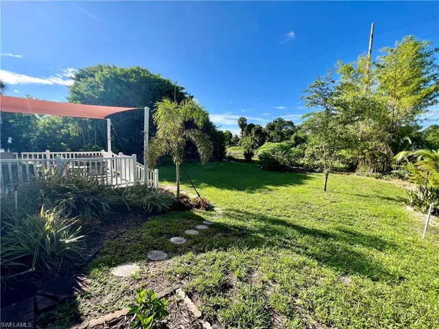 View of backyard