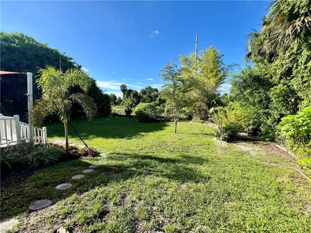View of backyard
